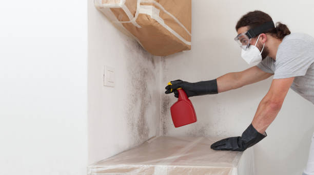 Professional Basement Mold Removal technician working in Clifton, NJ